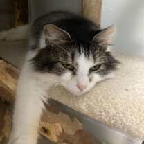 Thumbnail photo of Delia #2