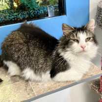Thumbnail photo of Delia #3