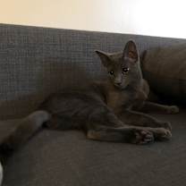 Thumbnail photo of Juice #3
