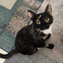 Thumbnail photo of Hope (MH) #1