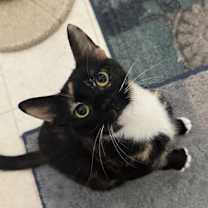 Thumbnail photo of Hope (MH) #2