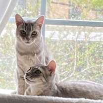 Thumbnail photo of Pierre #2