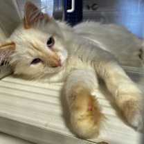 Thumbnail photo of Jerry #2