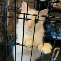 Thumbnail photo of Jerry #3