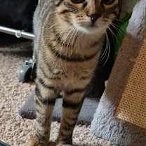 Thumbnail photo of Blossom #2