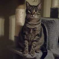 Thumbnail photo of Jenny #3