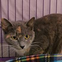 Thumbnail photo of Janie #1