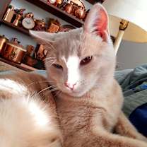 Thumbnail photo of Rudy #1