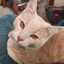Thumbnail photo of Rudy #3