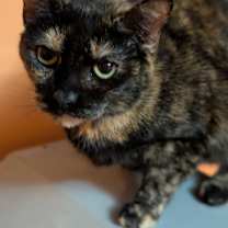 Thumbnail photo of Bill and Bebe #3