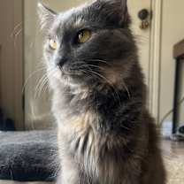 Thumbnail photo of Jelly Bean #2