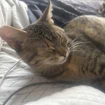 Thumbnail photo of Ducky #3