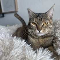 Thumbnail photo of Ducky #4