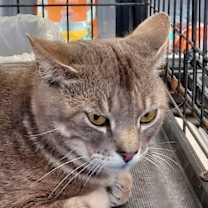 Thumbnail photo of Nathaniel #2