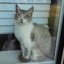 Thumbnail photo of Princess #seeks-attention #3