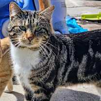 Thumbnail photo of Byron #2