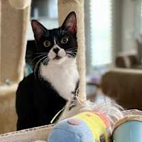 Thumbnail photo of Bonita 4025 #2