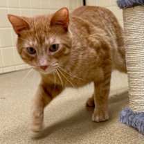 Thumbnail photo of Rodger #4