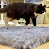 Thumbnail photo of Carlos #2