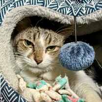Thumbnail photo of Gertrude #2