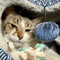 Thumbnail photo of Gertrude #3