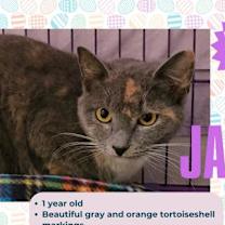 Thumbnail photo of Janie #2