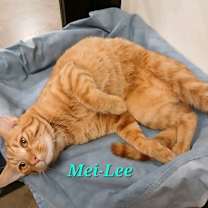 Thumbnail photo of Mei-Lee #2