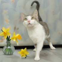 Thumbnail photo of Stevie S. #2