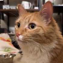 Thumbnail photo of GRETA #2