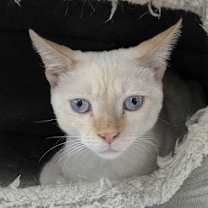 Thumbnail photo of Fergus #1