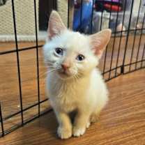 Thumbnail photo of Fergus #2