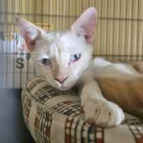 Thumbnail photo of Fergus #4