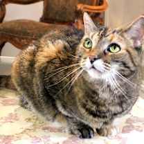 Thumbnail photo of Joan #2