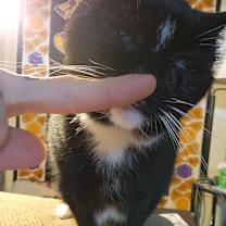Thumbnail photo of Elvira #4