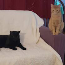 Thumbnail photo of Milton #1