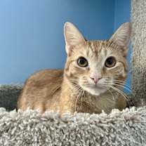 Thumbnail photo of Milton #2