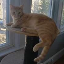 Thumbnail photo of Milton #3