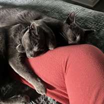 Thumbnail photo of Waffles #2