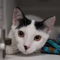 Thumbnail photo of Wyatt #4