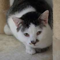 Thumbnail photo of Perry #2