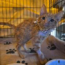 Thumbnail photo of Max #2