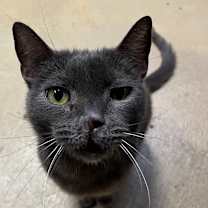 Thumbnail photo of Kalyn #1