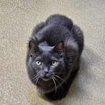 Thumbnail photo of Kalyn #2