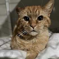Thumbnail photo of Trenton #1