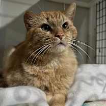 Thumbnail photo of Trenton #2