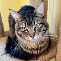 Thumbnail photo of Max #1