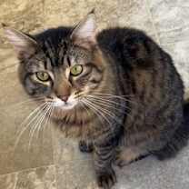 Thumbnail photo of Max #2