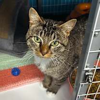 Thumbnail photo of Tucker #1