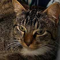 Thumbnail photo of Tucker #2