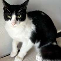 Thumbnail photo of KIERAN #3